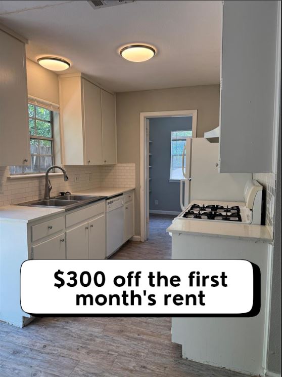 a kitchen with a stove and a sink