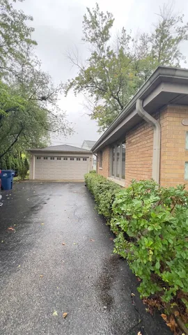 a view of a house with a yard plants and large tree
