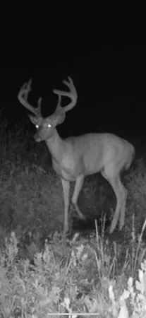 $49,900 | 2759 State Highway, Waubun, MN 56589