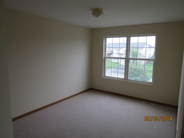 337 Daffodil Drive Romeoville, IL 60446 - Photo 12 of 16