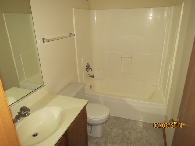 337 Daffodil Drive Romeoville, IL 60446 - Photo 13 of 16