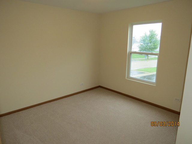 337 Daffodil Drive Romeoville, IL 60446 - Photo 14 of 16