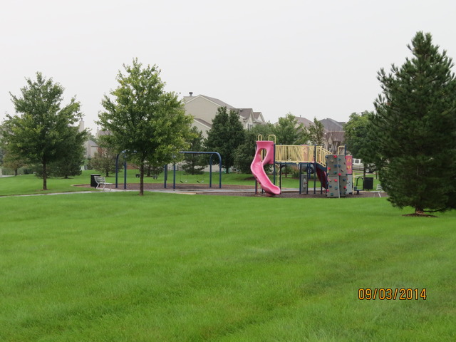 337 Daffodil Drive Romeoville, IL 60446 - Photo 4 of 16