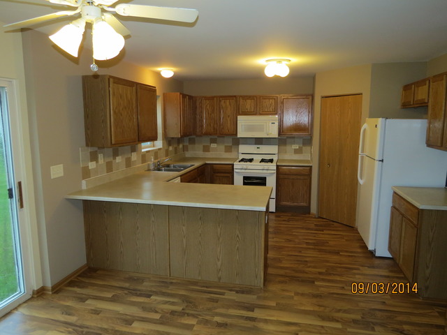 337 Daffodil Drive Romeoville, IL 60446 - Photo 7 of 16