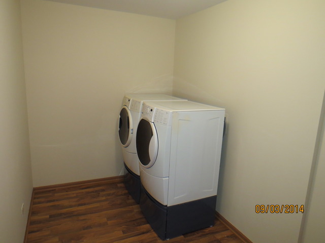 337 Daffodil Drive Romeoville, IL 60446 - Photo 9 of 16