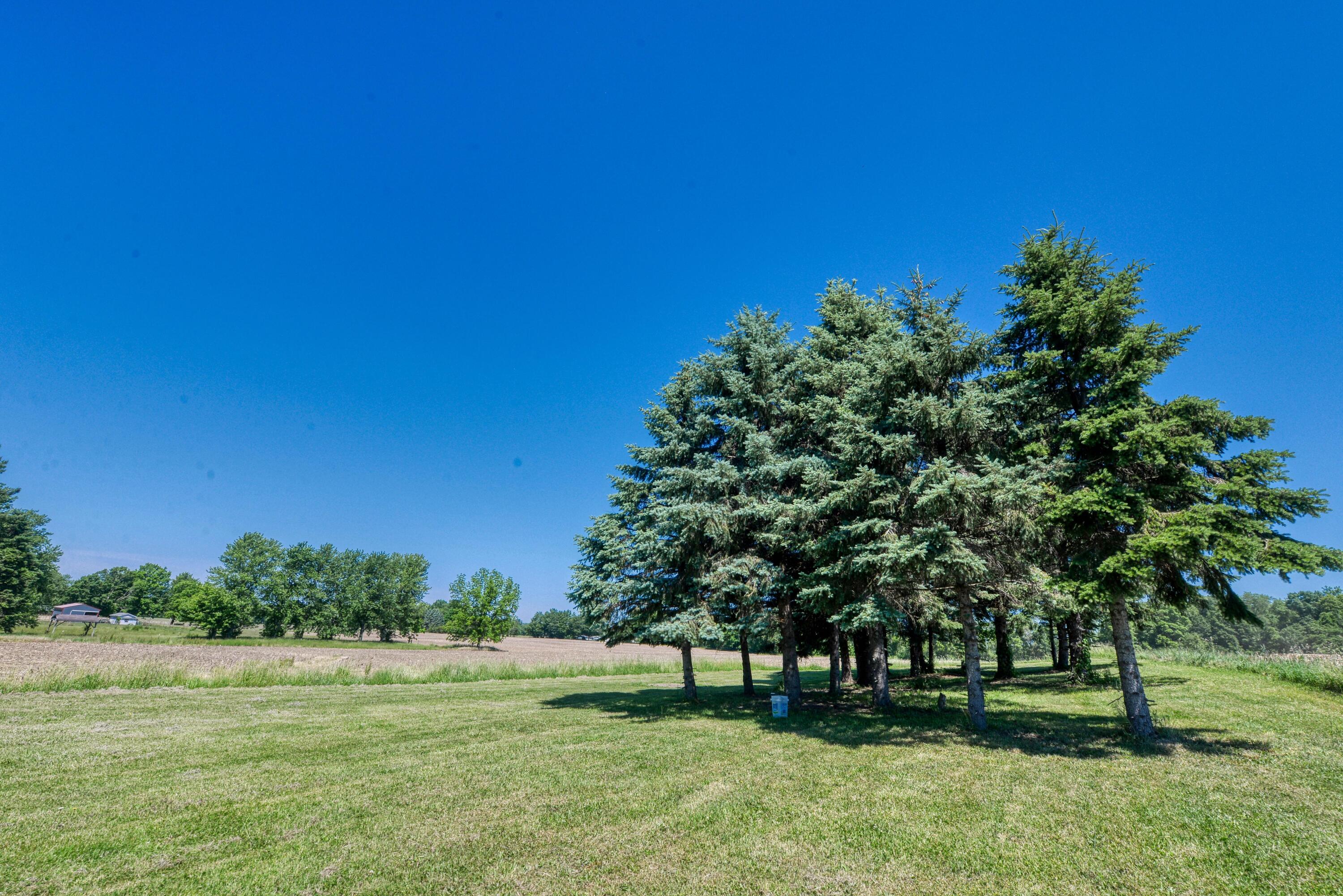 761 Warren Woods Road Galien, MI 49113 - Photo 32 of 36 DSC_6906
