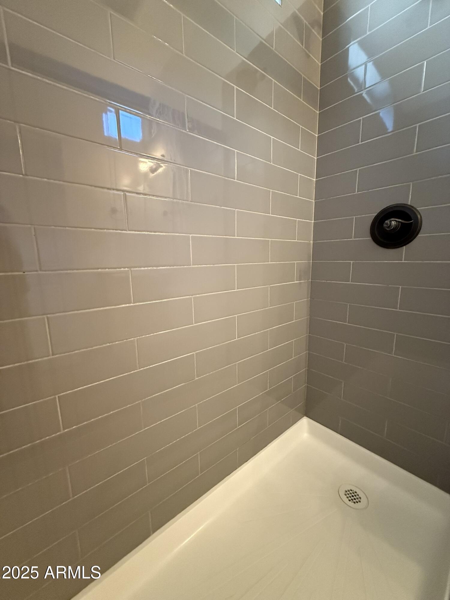 1736 West Pollack Street Phoenix, AZ 85041 - Photo 19 of 51 a bathroom with a shower