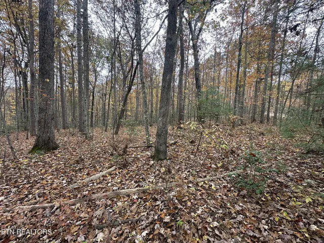 $59,900 | Lot 6 Wilderness Trail, Oneida, TN 37841
