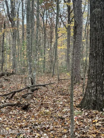 $59,900 | Lot 6 Wilderness Trail, Oneida, TN 37841