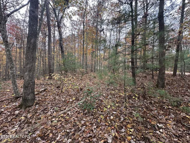 $59,900 | Lot 6 Wilderness Trail, Oneida, TN 37841