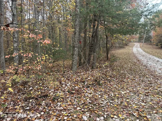 $59,900 | Lot 6 Wilderness Trail, Oneida, TN 37841
