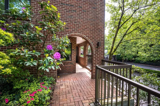 a row of trees and tree in front of a house