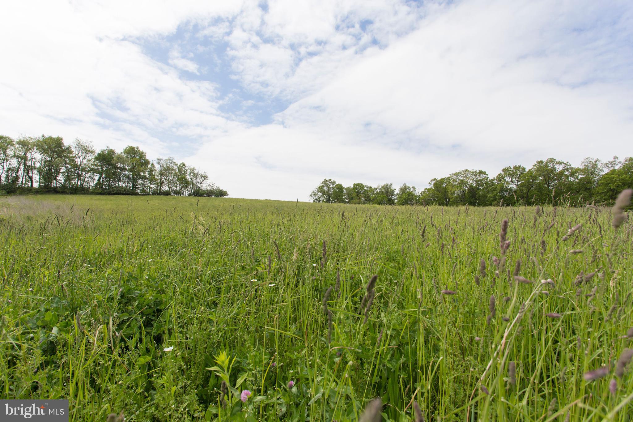 Lot 3 Landis Road Hanover, PA 17331 - Photo 4 of 9 Gallery Image 4