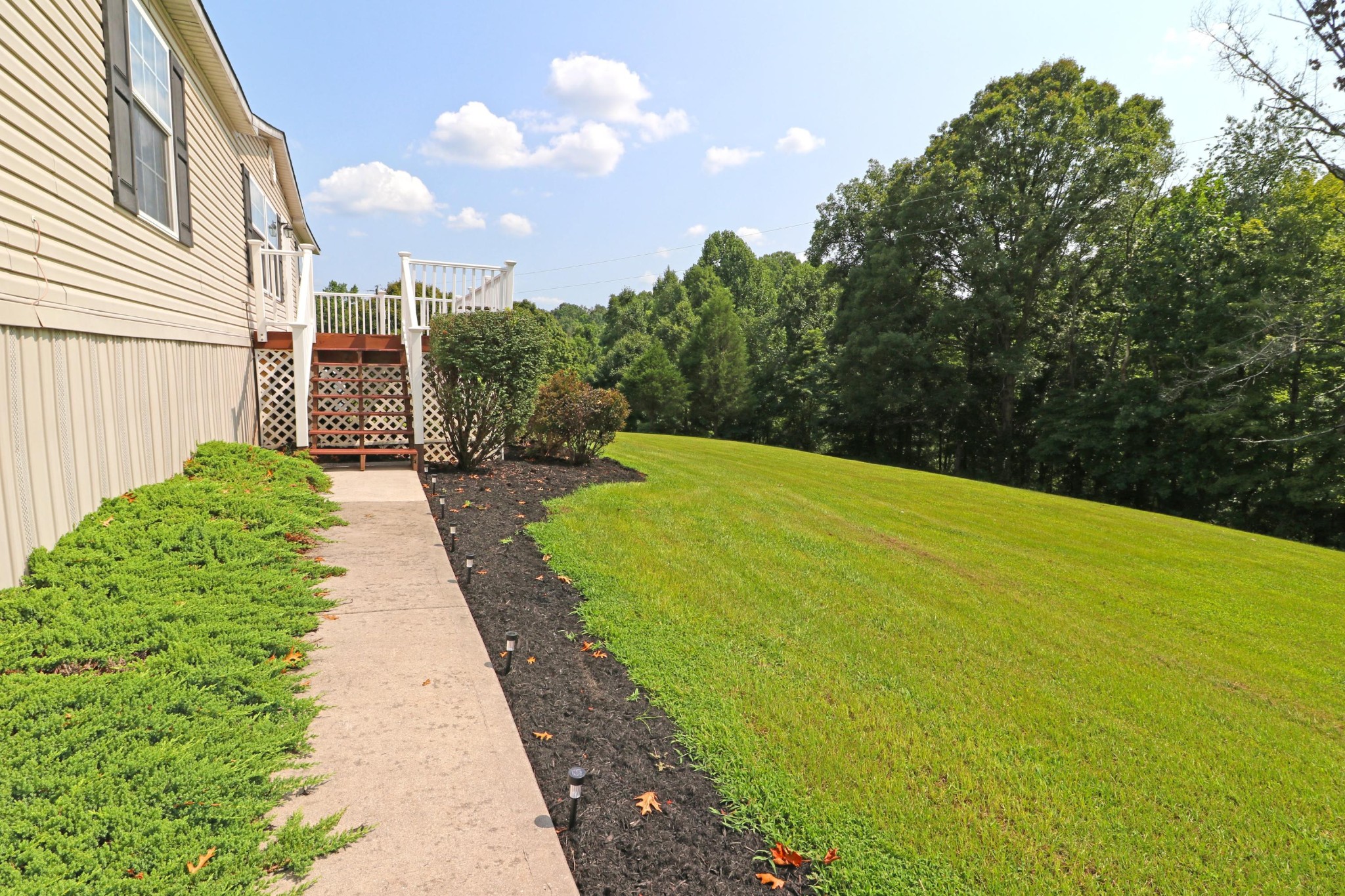 927 Misty Valley Road Friendsville, TN 37737 - Photo 3 of 36 Gallery Image 3