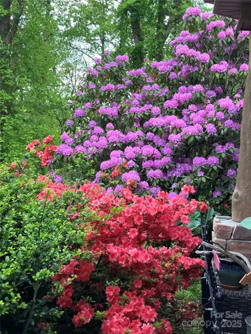 a view of a backyard with table and chairs and potted plants