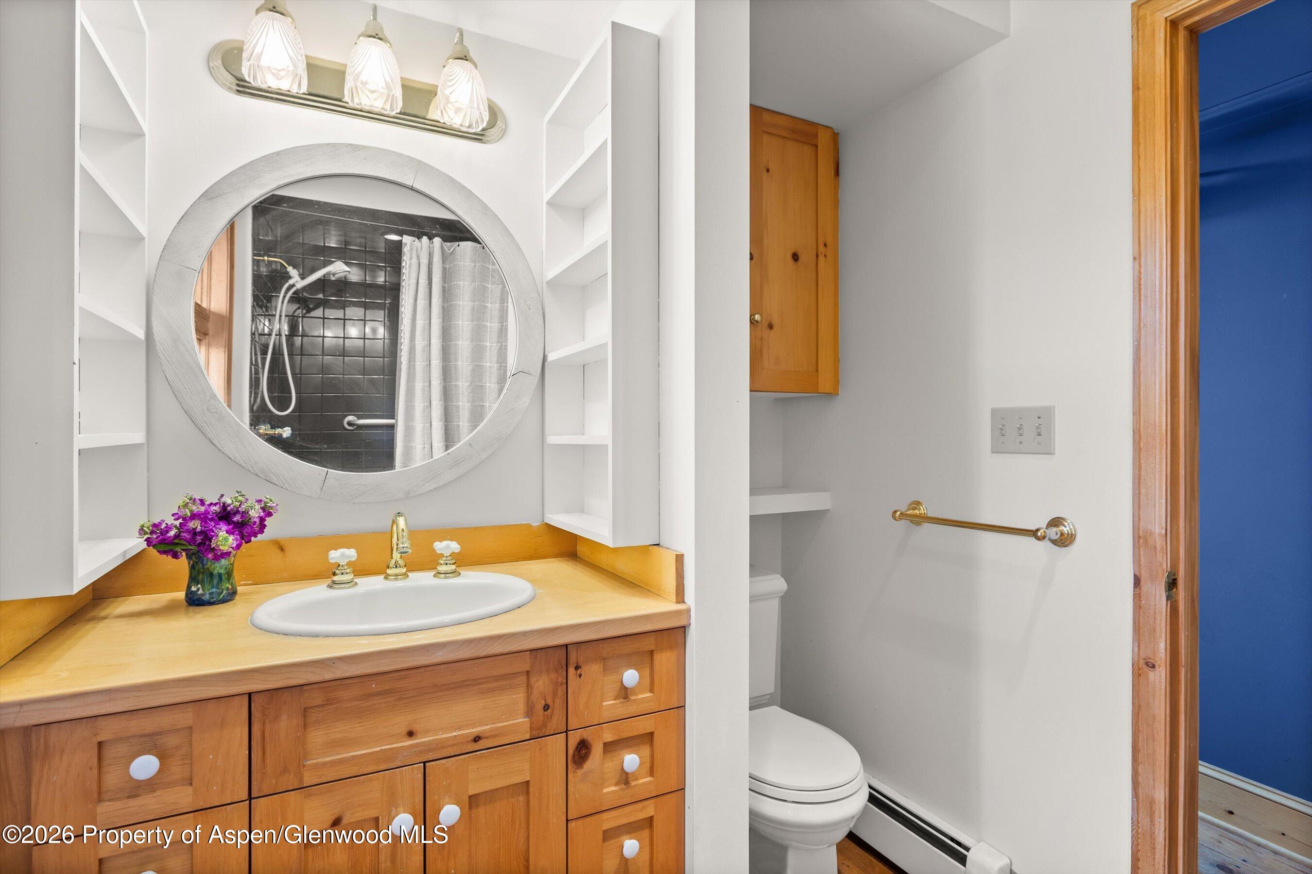 967 Buck Point Road Carbondale, CO 81623 - Photo 16 of 34 bathroom #1