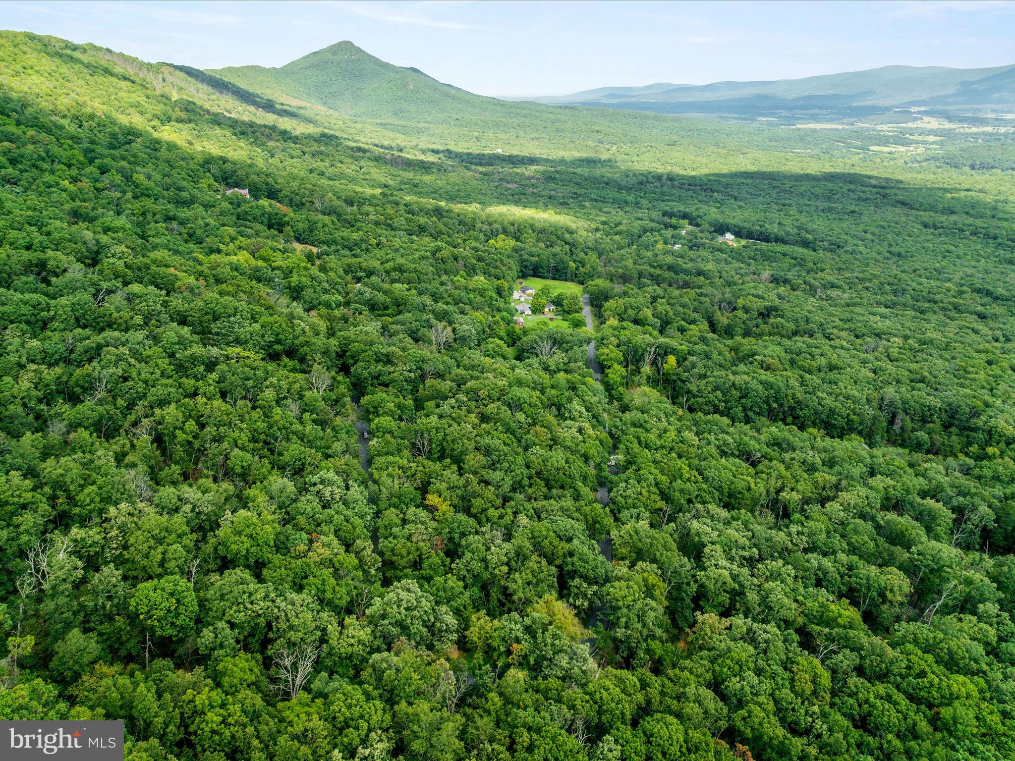 0 Fort Valley Road Luray, VA 22835 - Photo 11 of 18 a view of outdoor space and mountain view