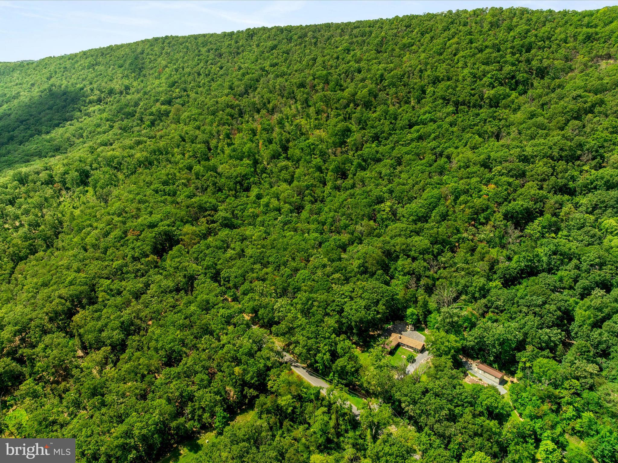 0 Fort Valley Road Luray, VA 22835 - Photo 16 of 18 a view of a lush green space