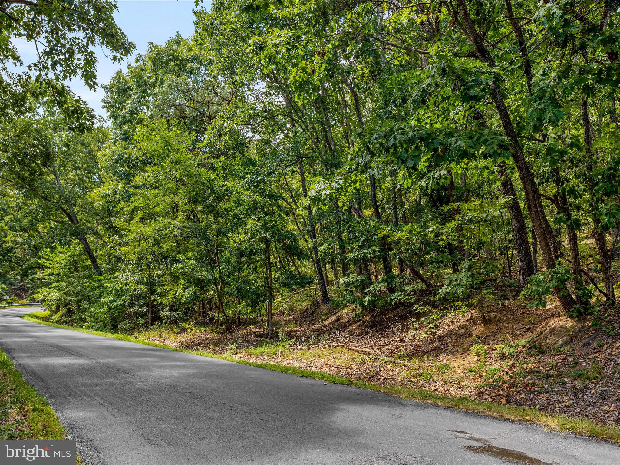 0 Fort Valley Road Luray, VA 22835 - Photo 2 of 18 a view of a yard with a tree