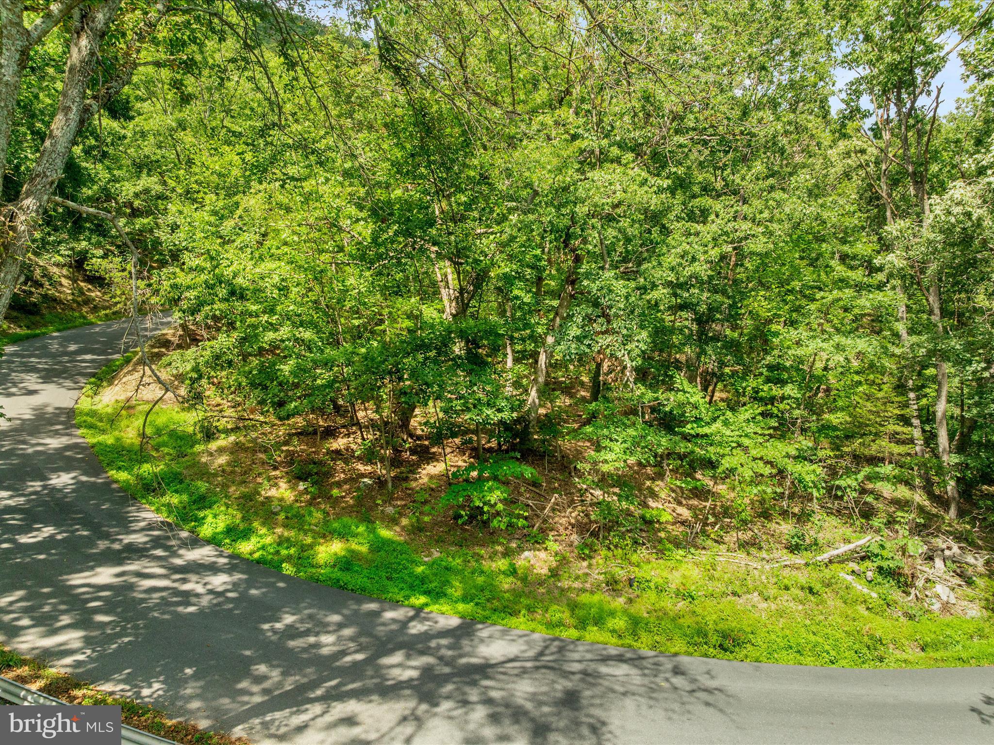 0 Fort Valley Road Luray, VA 22835 - Photo 4 of 18 a backyard of a house with lots of green space