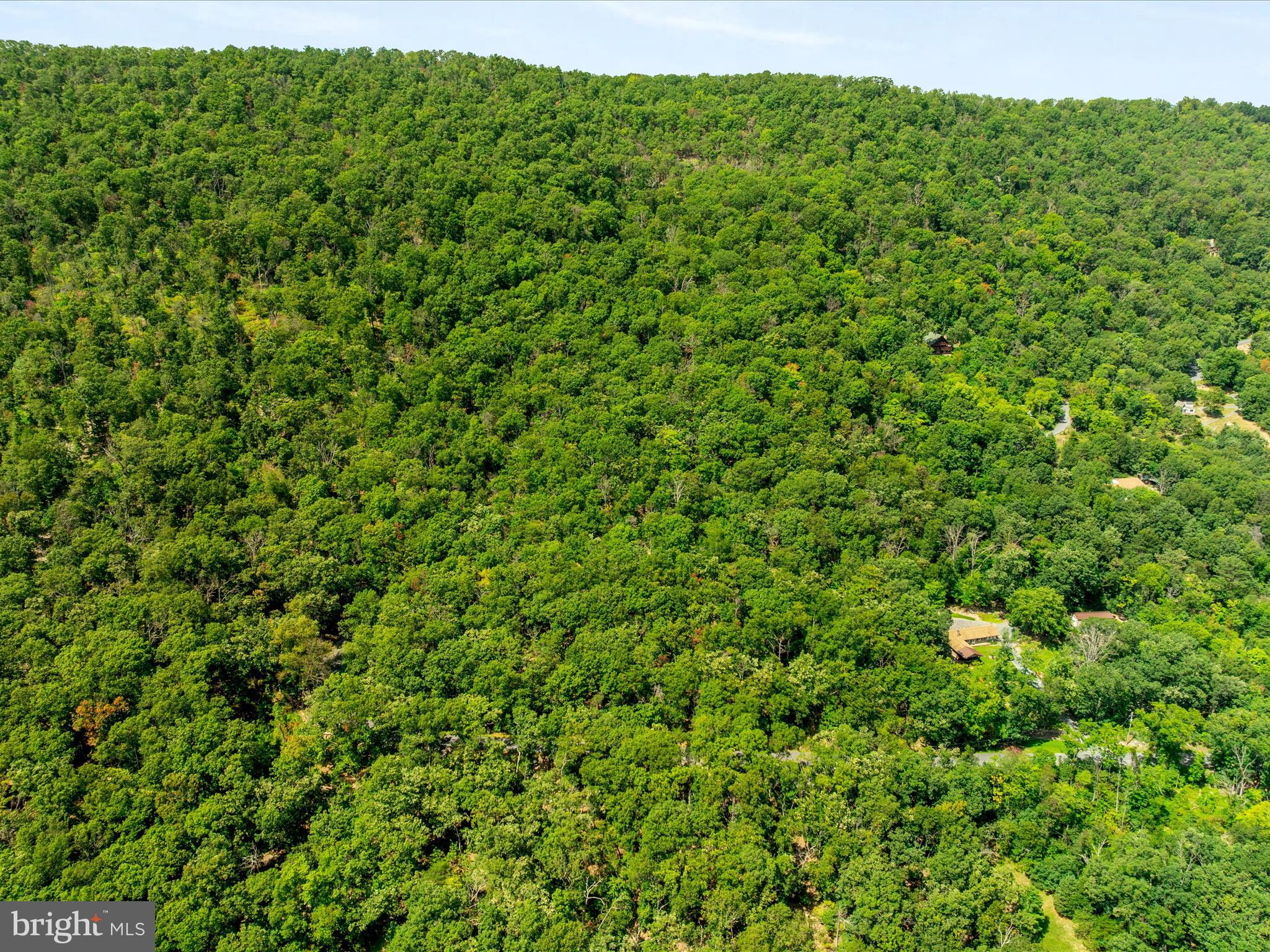 0 Fort Valley Road Luray, VA 22835 - Photo 5 of 18 a view of a big yard with plants and large trees