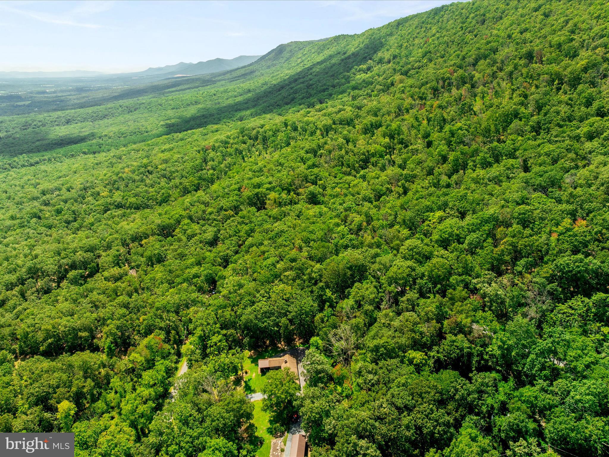 0 Fort Valley Road Luray, VA 22835 - Photo 9 of 18 a view of a lush green space