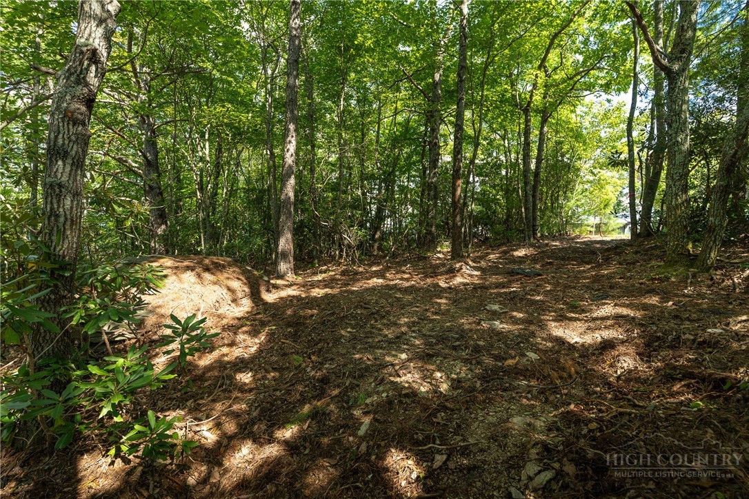 327 Lyreleaf Trail Boone, NC 28607 - Photo 4 of 50 Gallery Image 4