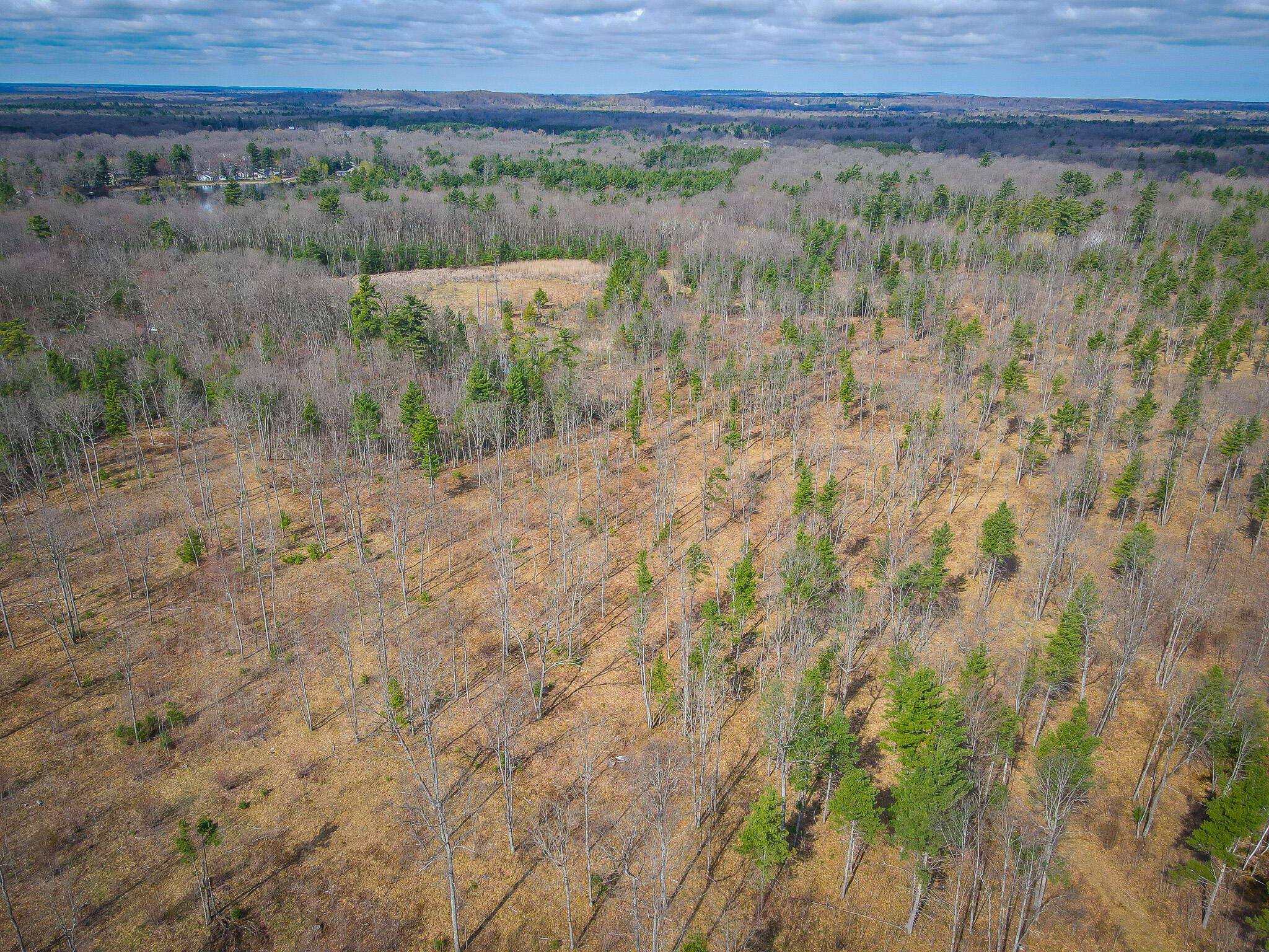 4854 Swihart Road Brethren, MI 49619 - Photo 11 of 40 dji_fly_20230429_103454_264_168277890381