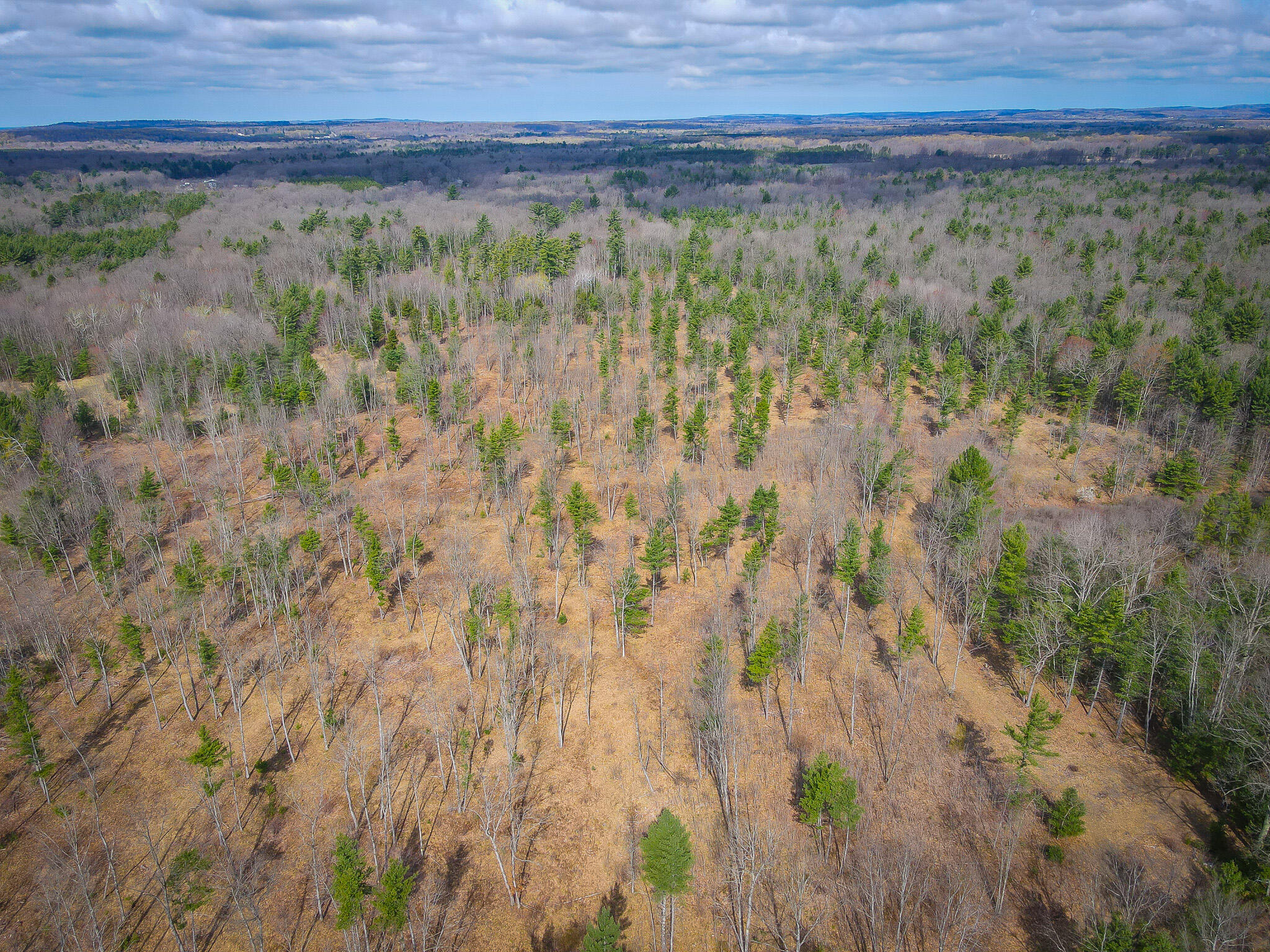 4854 Swihart Road Brethren, MI 49619 - Photo 12 of 40 dji_fly_20230429_103558_265_168277897156