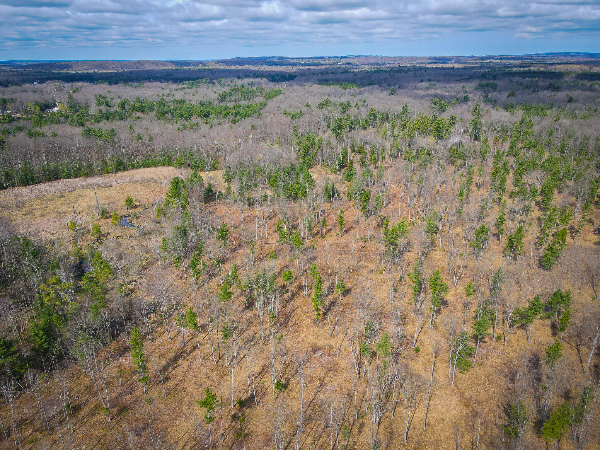 4854 Swihart Road Brethren, MI 49619 - Photo 13 of 40 dji_fly_20230429_103600_266_168277897654