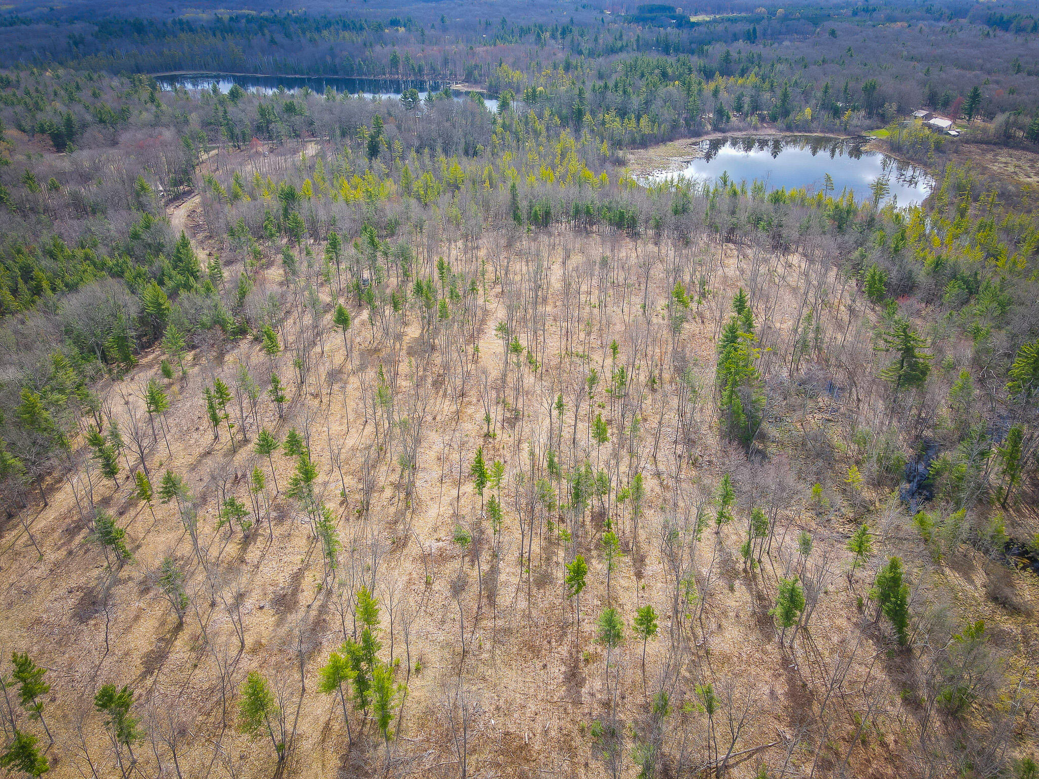 4854 Swihart Road Brethren, MI 49619 - Photo 14 of 40 dji_fly_20230429_103630_268_168277899951