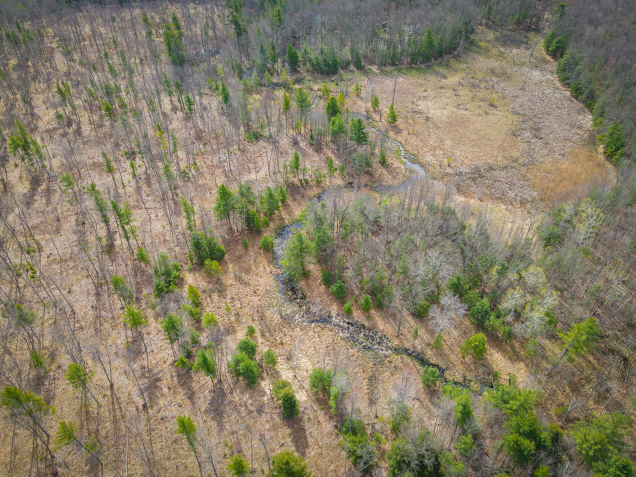 4854 Swihart Road Brethren, MI 49619 - Photo 18 of 40 dji_fly_20230429_103804_272_168277909500