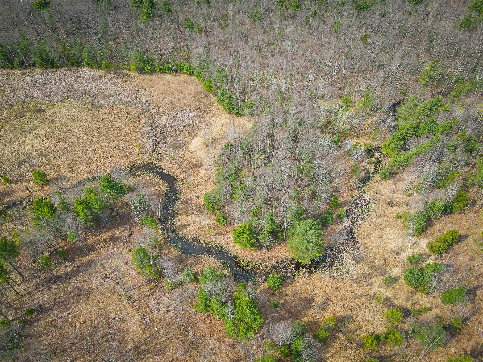 4854 Swihart Road Brethren, MI 49619 - Photo 2 of 40 dji_fly_20230429_103616_267_168277898729