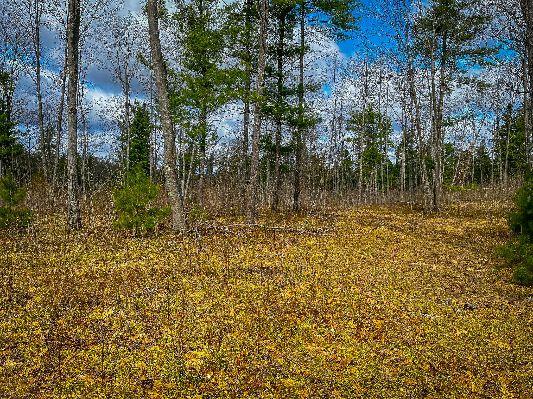 4854 Swihart Road Brethren, MI 49619 - Photo 28 of 40 IMG_8225
