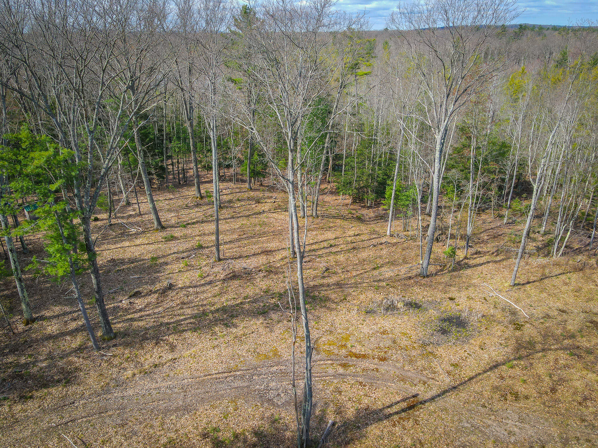 4854 Swihart Road Brethren, MI 49619 - Photo 3 of 40 dji_fly_20230429_103404_261_168277885519