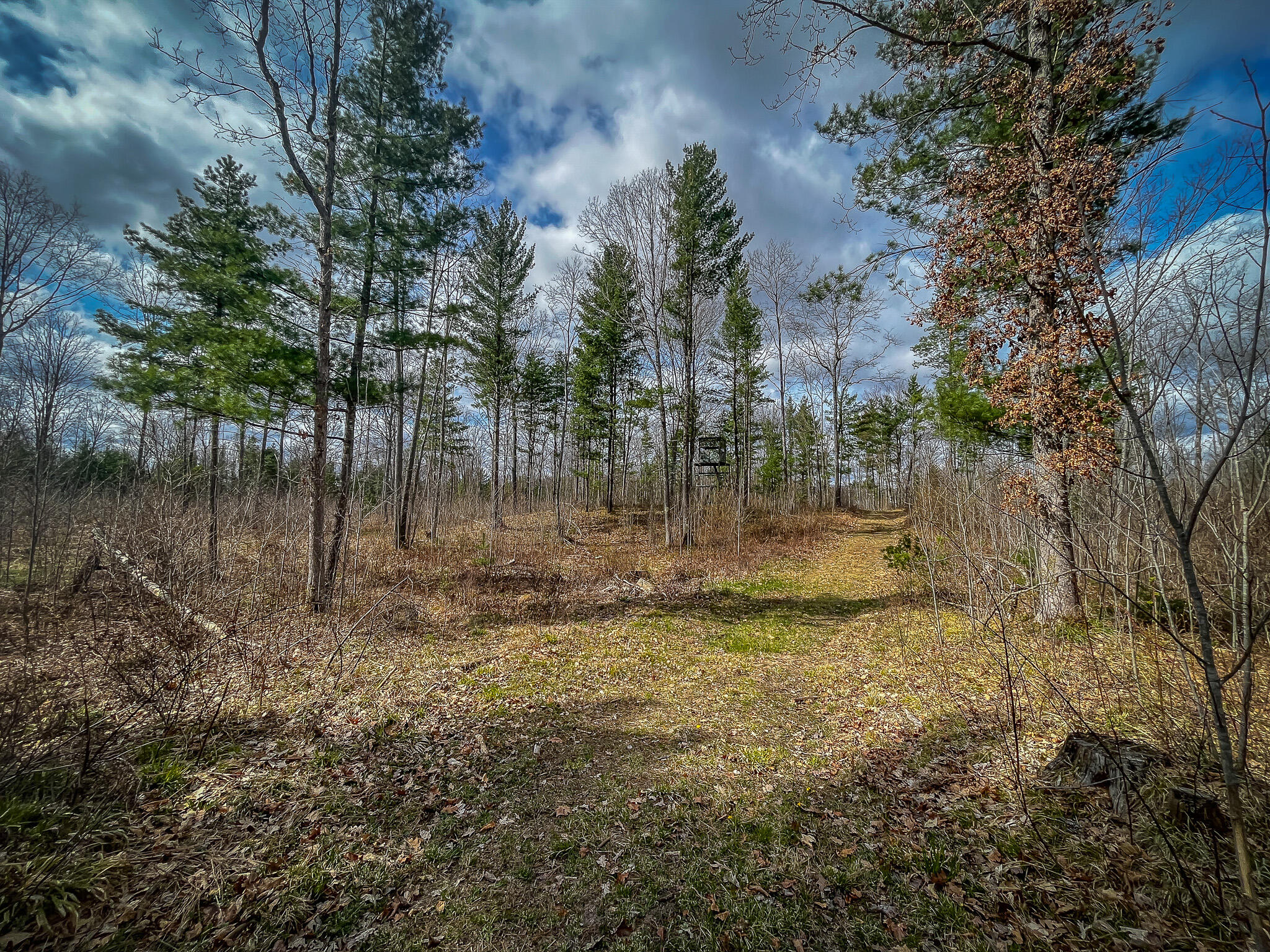 4854 Swihart Road Brethren, MI 49619 - Photo 4 of 40 IMG_8219