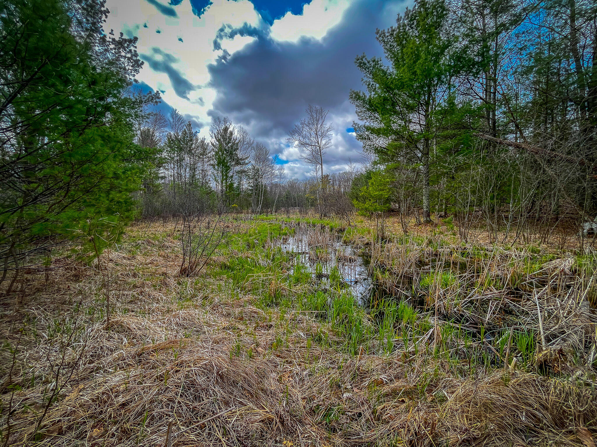 4854 Swihart Road Brethren, MI 49619 - Photo 6 of 40 IMG_8232