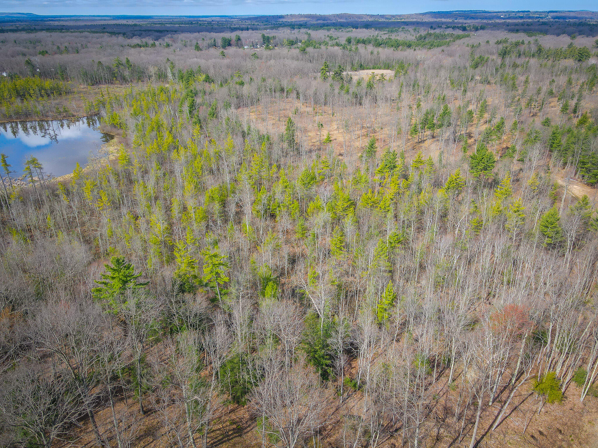 4854 Swihart Road Brethren, MI 49619 - Photo 7 of 40 dji_fly_20230429_103422_262_168277887112