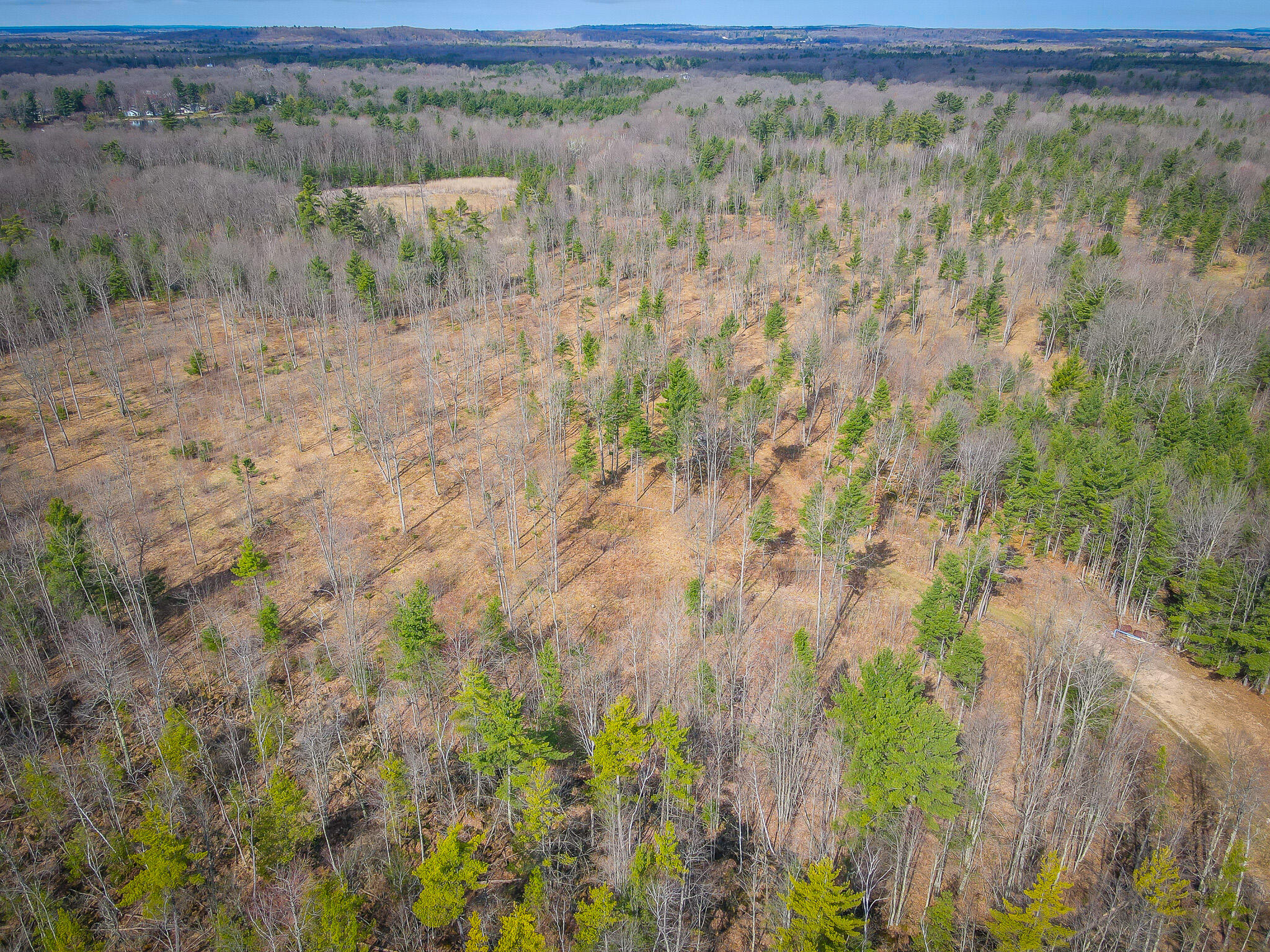 4854 Swihart Road Brethren, MI 49619 - Photo 10 of 40 dji_fly_20230429_103444_263_168277889878