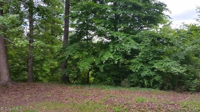 4901 Country Ridge Road Clemmons, NC 27012 - Photo 4 of 4 Gallery Image 4