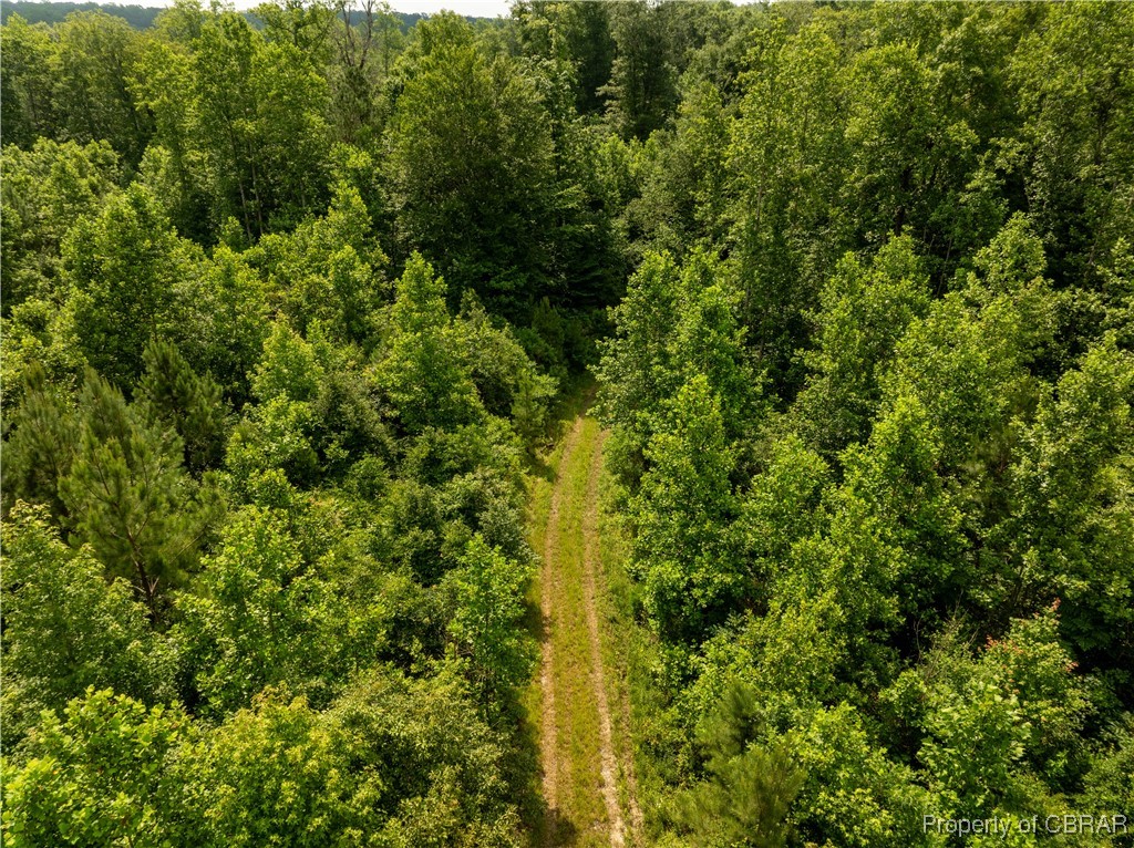 5.7-ac Dutton Road Gloucester, VA 23061 - Photo 21 of 21