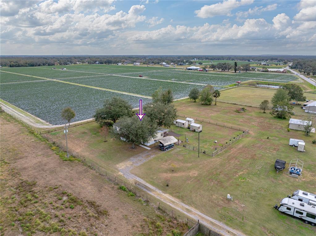 3006 Clemons Road Plant City, FL 33566 - Photo 73 of 87 Gallery Image 73