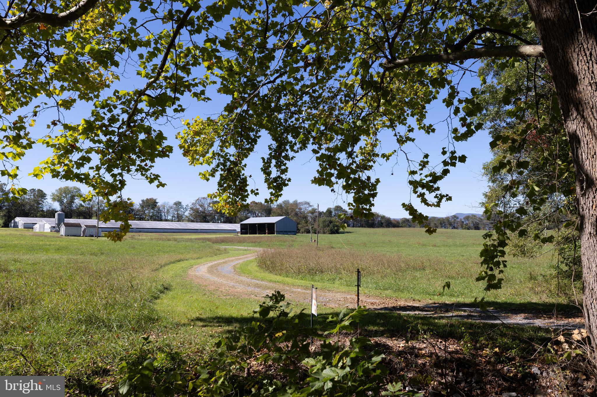 Vaughn Summit Road Luray, VA 22835 - Photo 14 of 31 a view of a garden with an outdoor space