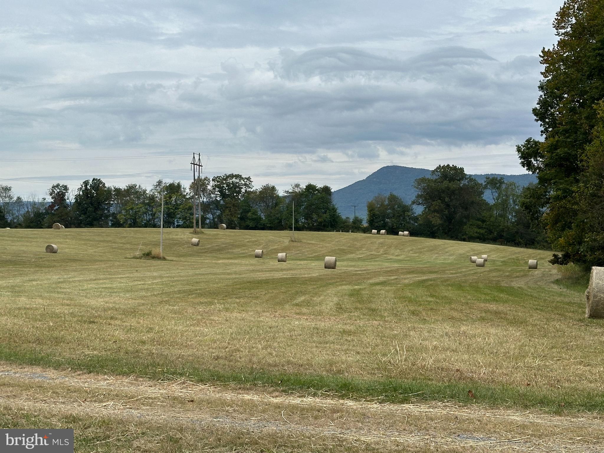 Vaughn Summit Road Luray, VA 22835 - Photo 28 of 31 a view of a field with houses in back