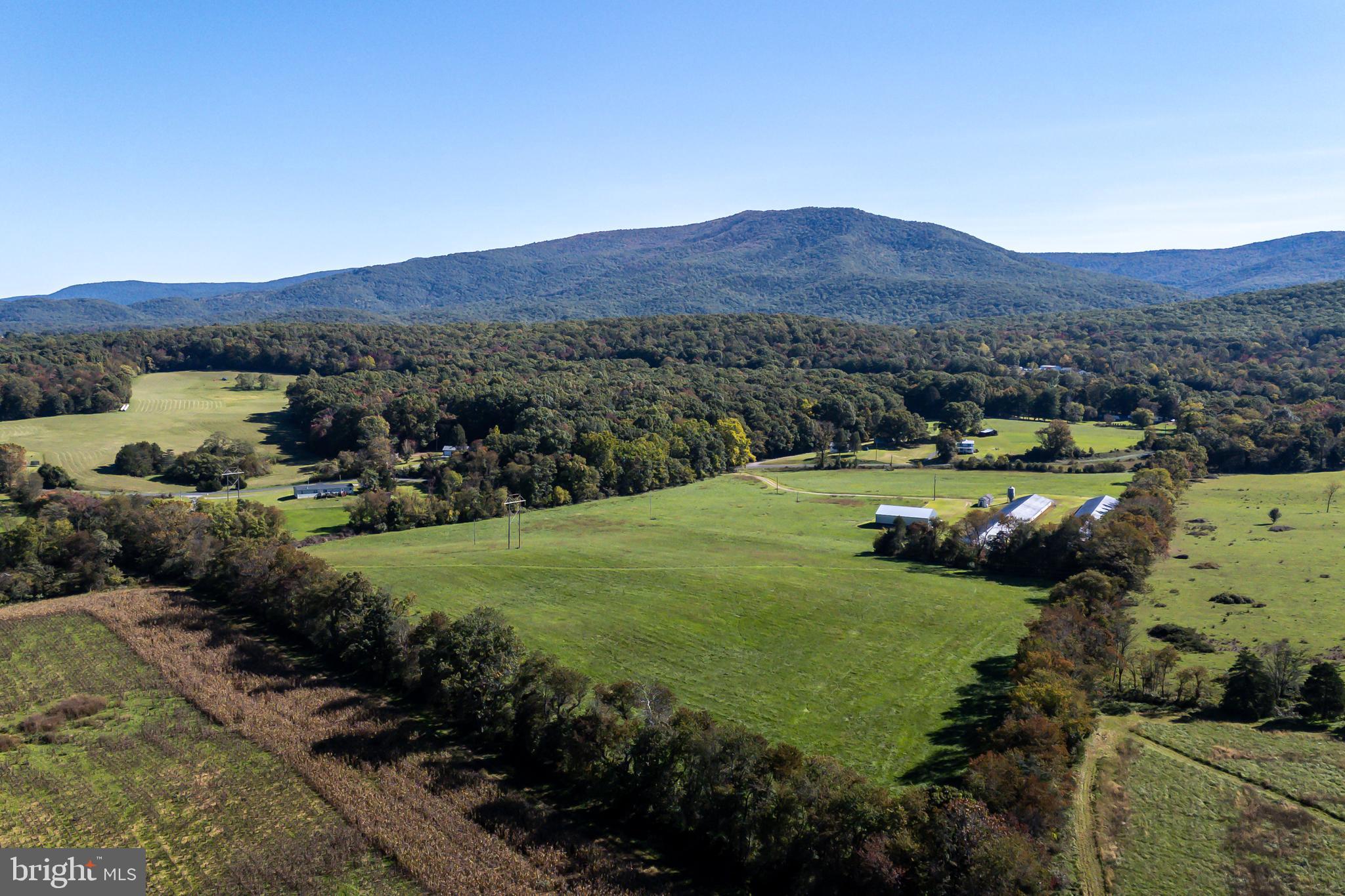 Vaughn Summit Road Luray, VA 22835 - Photo 10 of 31 a view of a lush green hillside and houses