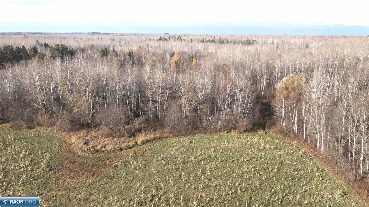 11680 Co Road Orr, MN 55771 - Photo 9 of 23