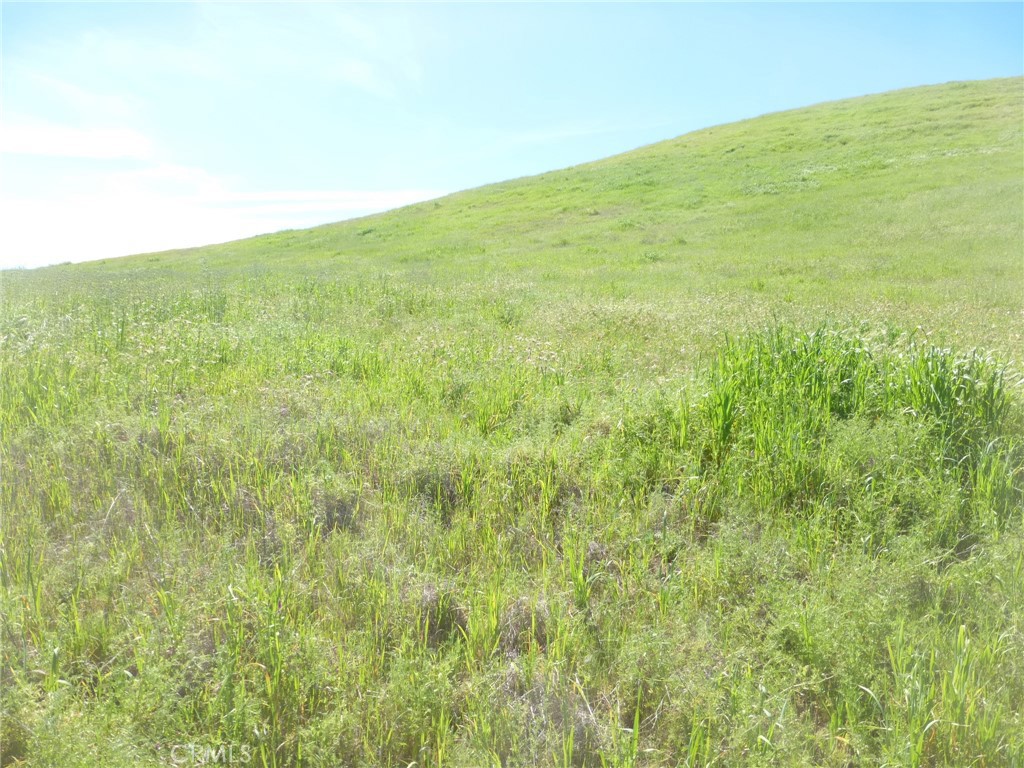 0 Douglas Road San Miguel, CA 93451 - Photo 46 of 51