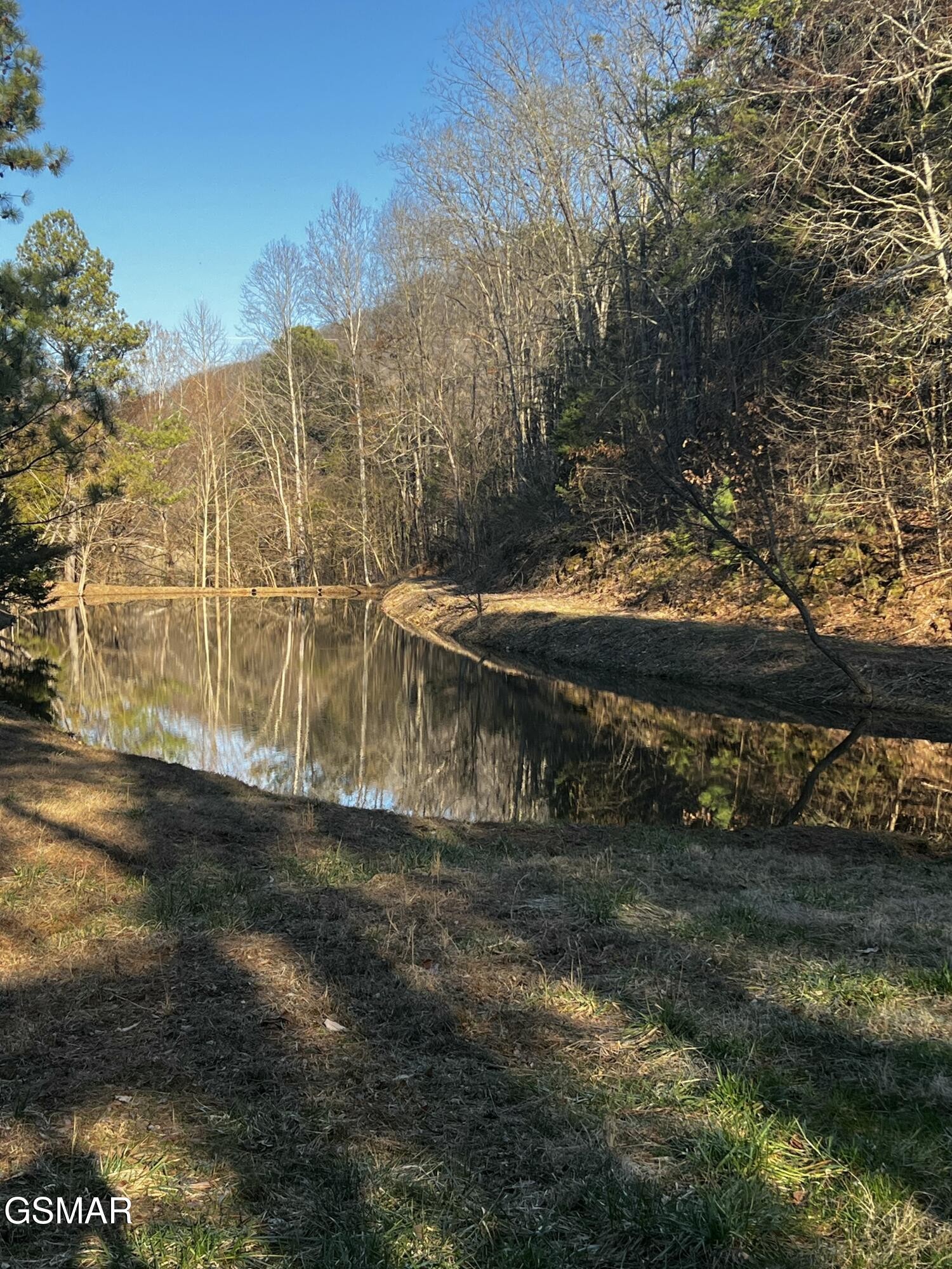374 Doane Road New Market, TN 37820 - Photo 83 of 83 Gallery Image 83
