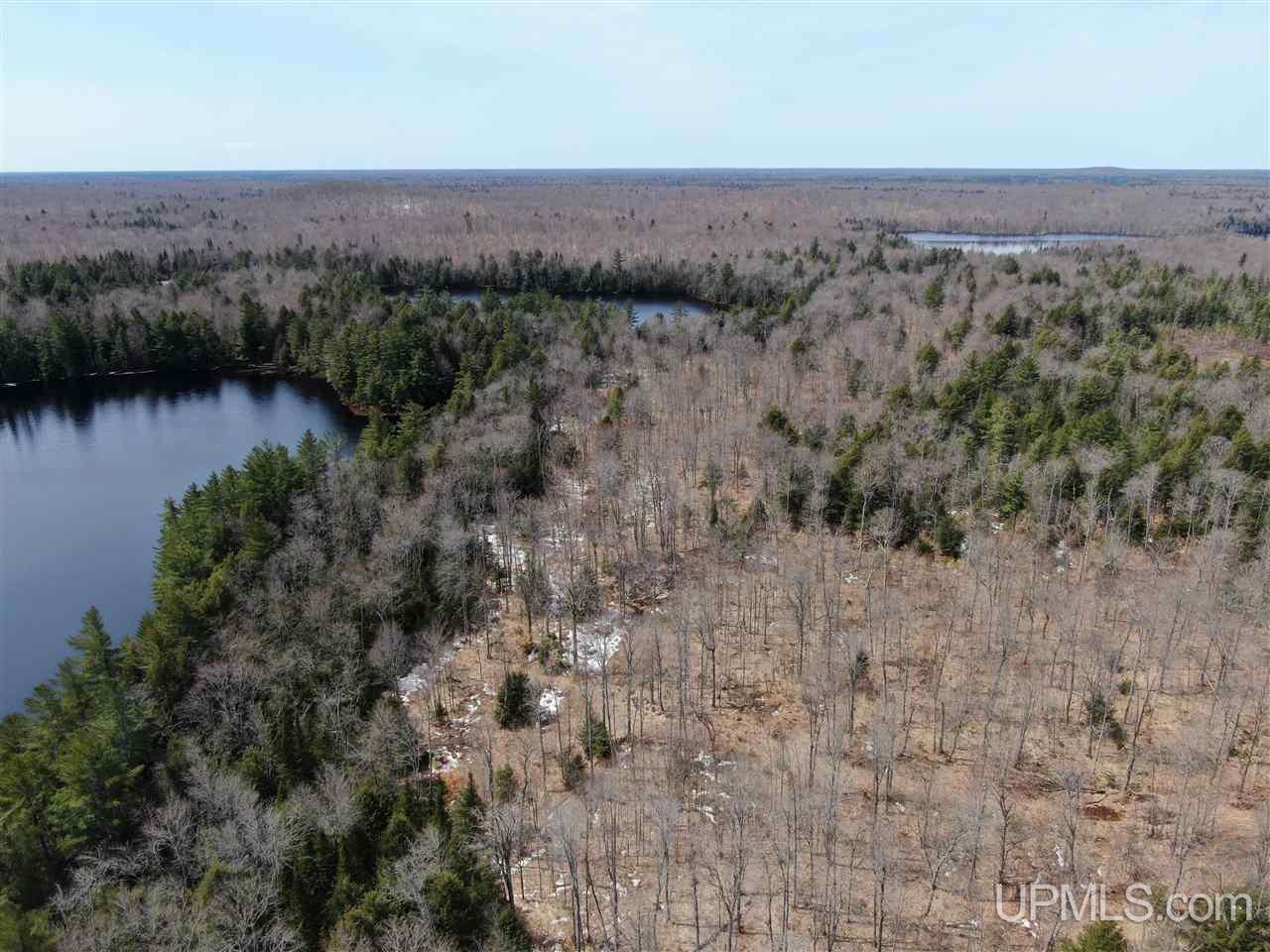 0 Old Seney Road Seney, MI 49883 - Photo 6 of 31