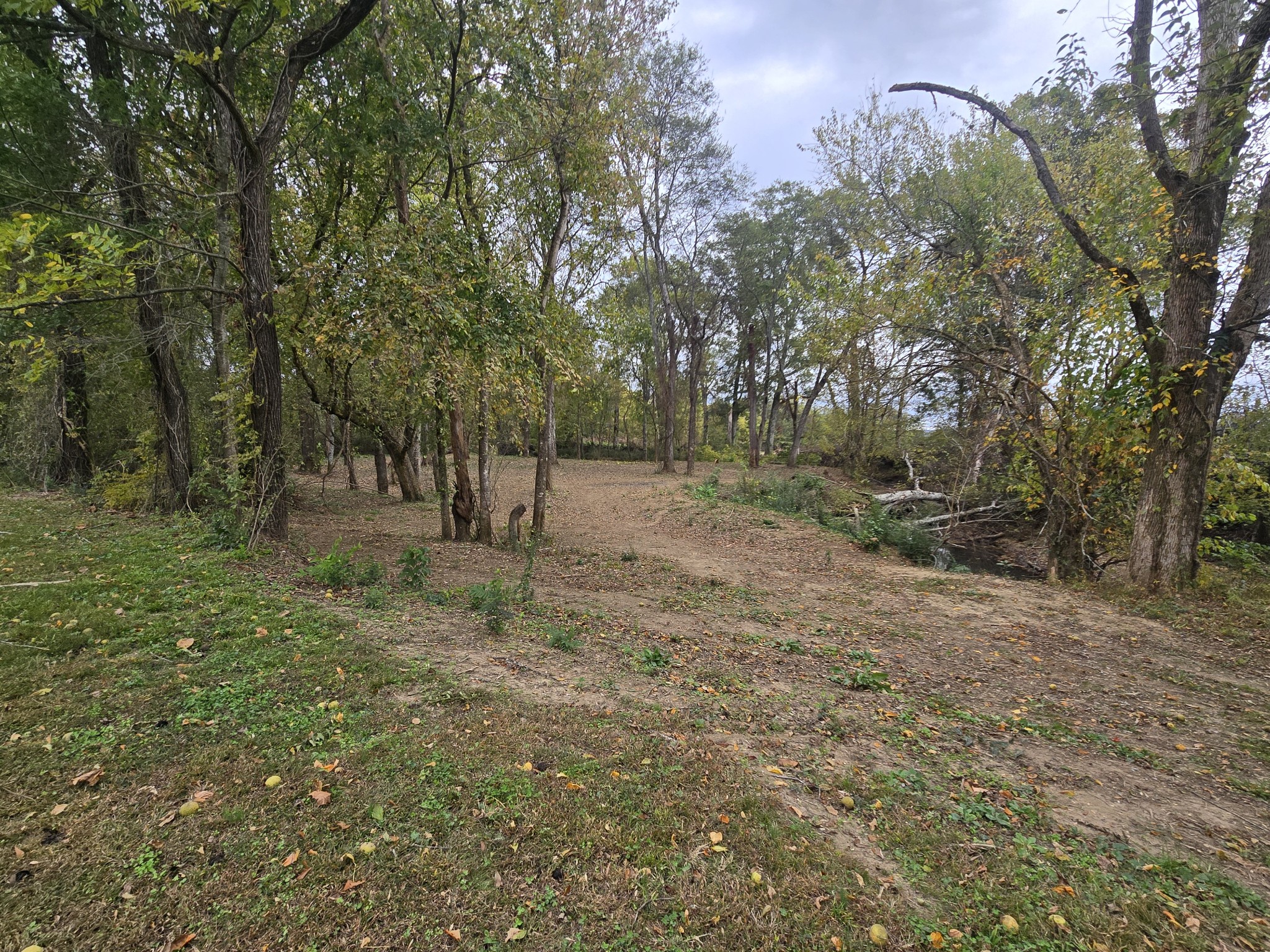 774 Sherrell Road Hillsboro, TN 37342 - Photo 15 of 70 a view of outdoor space with trees
